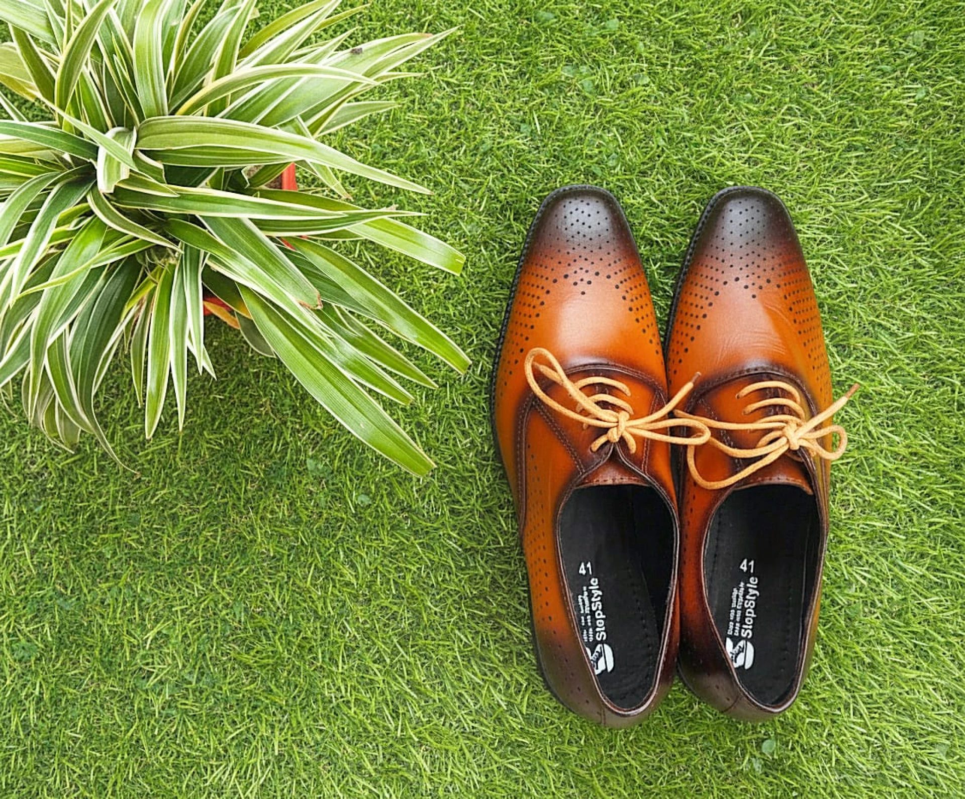 tepStyle formal derby shoes-002
