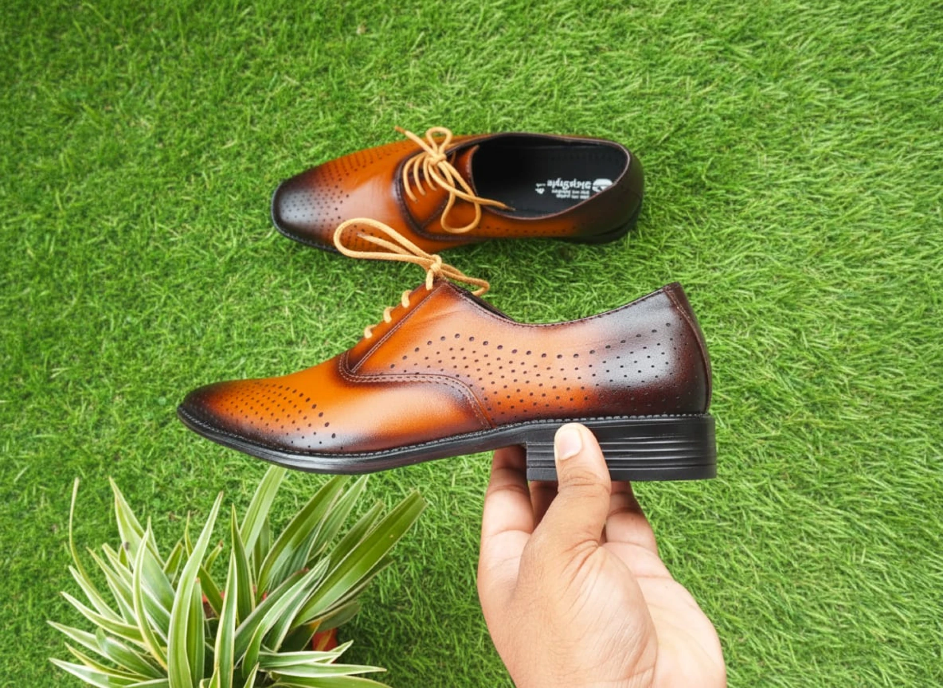 tepStyle formal derby shoes-002