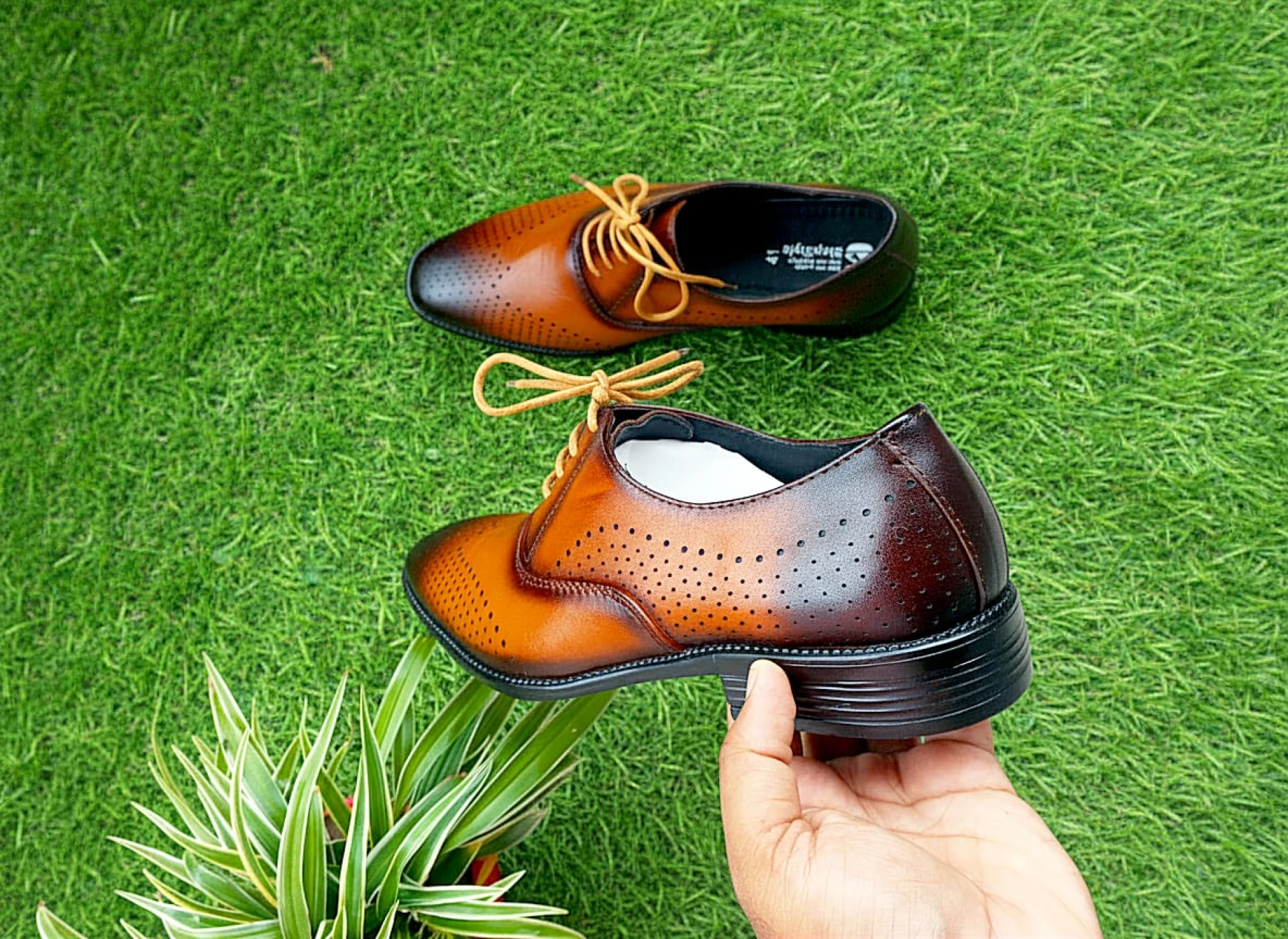 tepStyle formal derby shoes-002